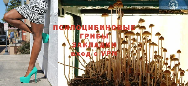 прущие грибы Алексин