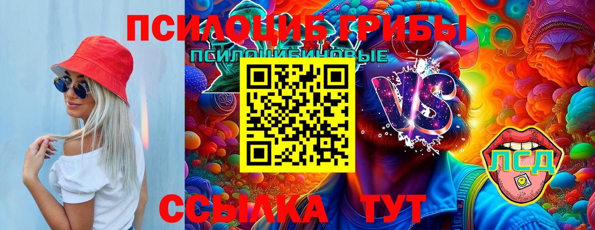 Псилоцибиновые грибы Cubensis  Вход с VPN  Галлюциногенные грибы MAGIC MUSHROOMS  Красногорск 